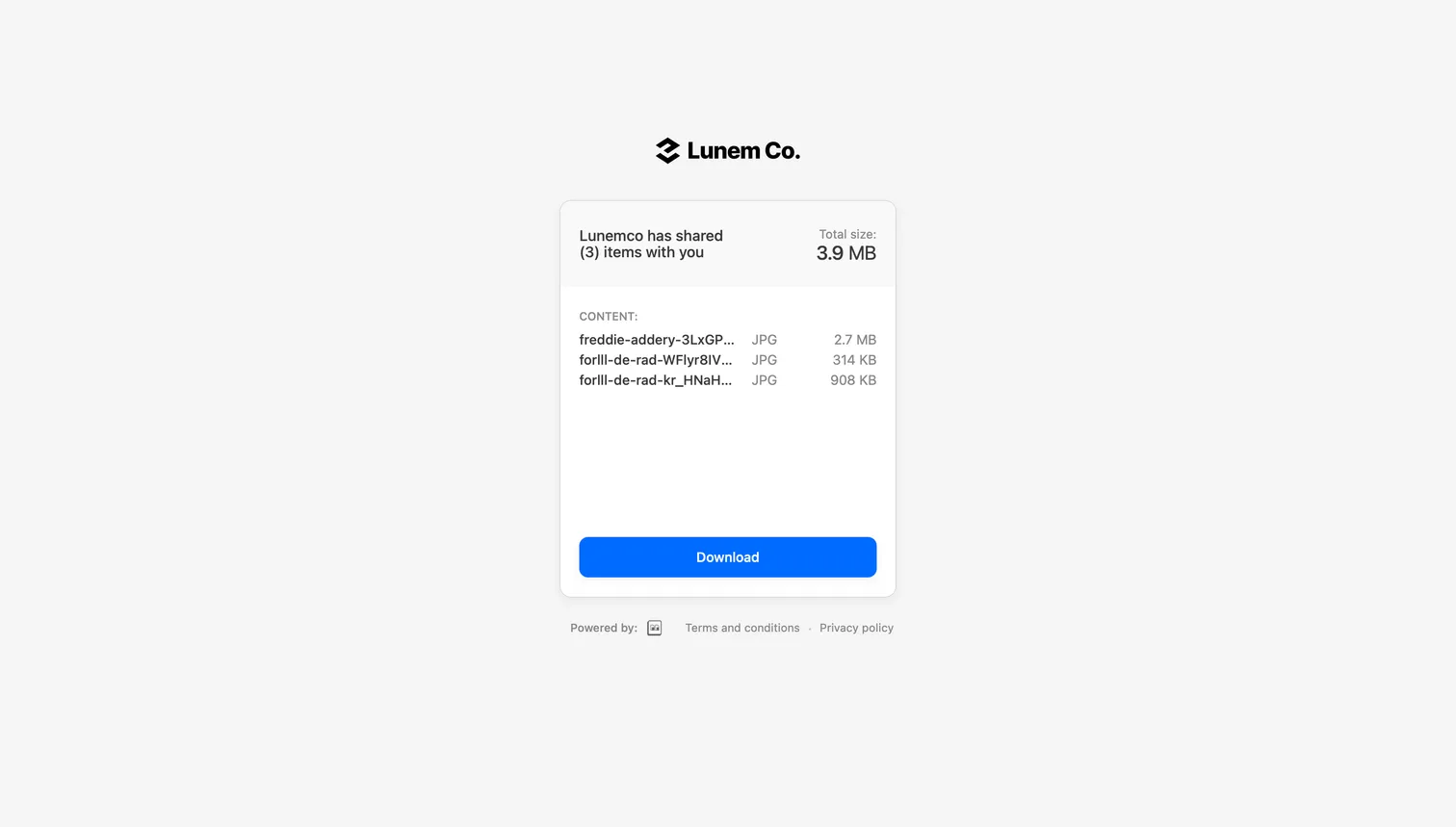 Branded Brault Transfer download page that the recipient sees: custom logo, colors, password prompt, and download button — without any visible Brault platform UI.